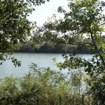 Land for sale on Ada Bojana River 6