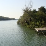 Land for sale on Ada Bojana River 2