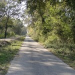 Land for sale on Ada Bojana River 4